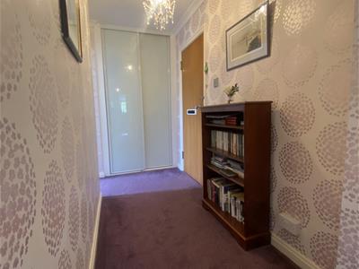 Picture 19
